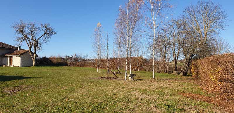 Garden landscape and ground works projects- tree planting