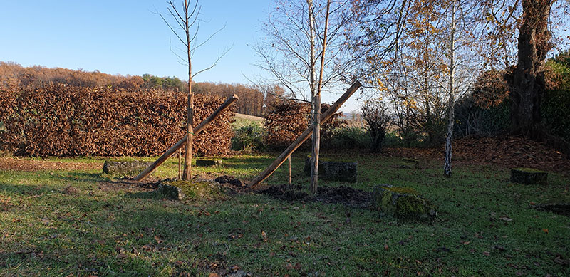 Garden landscape and ground works projects- tree planting