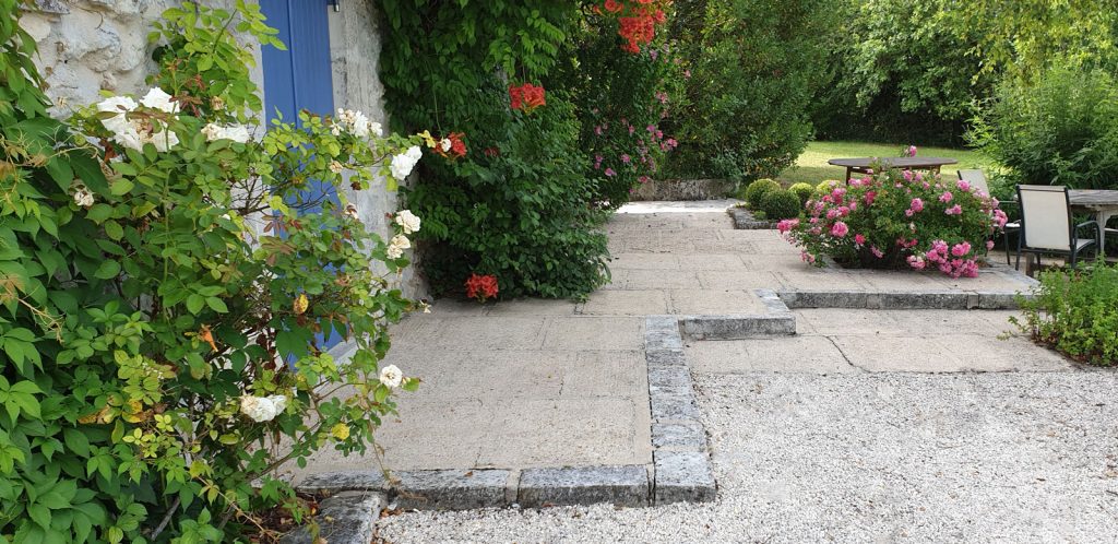 Terrace-cleaning-weed-and-moss